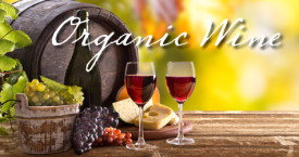 Healthy Organic Wine Choices for the Holidays!