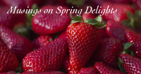 Musings on Spring Delights!