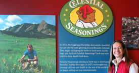 Top Ten Reasons to Love Celestial Seasonings Teas!