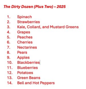 Christy Begien | Christy's Non Toxic Lifestyle