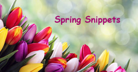 Spring Snippets
