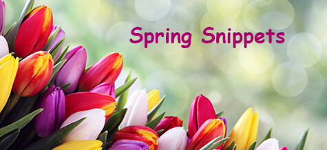Spring Snippets