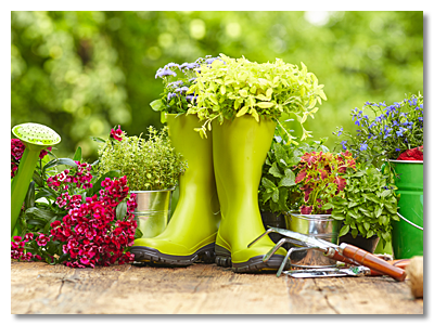 Christy Begien | Non Toxic Gardening