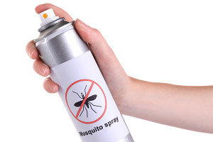 Christy Begien | Non Toxic Insect Repellents