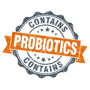 Christy Begien | Probiotics 101